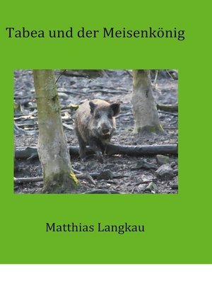 cover image of Tabea und der Meisenkönig
